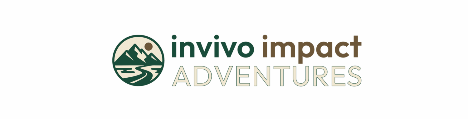 invivo impact – you are right here